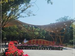 -东平国家森林公园
