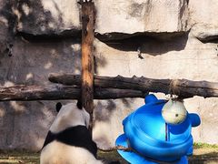 -上海野生动物园