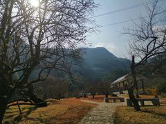 -广州市石门国家森林公园