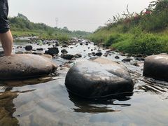 -禾悦庄餐厅