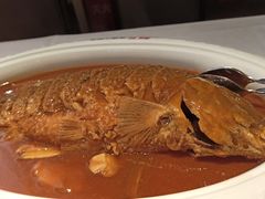 -阿五黄河大鲤鱼(英协路店)