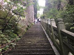 -东天目山风景区