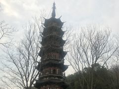 -上海佘山国家森林公园西佘山园