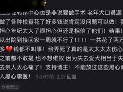 -美联众合动物医院·24h京西诊疗中心