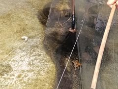 -正佳雨林生态植物园