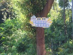 -广州市帽峰山景区