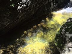 -牛背梁国家森林公园