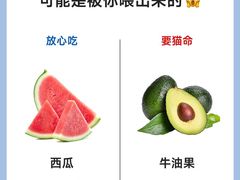 -猫十亿·布偶金渐层·曼基康矮脚猫舍(青年路店)