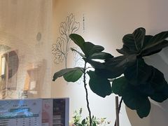 -左悦·艾灸调理·推拿按摩·精油SPA(卓悦汇店)