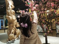 -九朝会昆曲·宴(望京店)