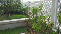 -贝贝乐婴儿游泳馆