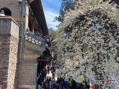 -潭柘寺景区