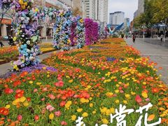 -南屏步行街