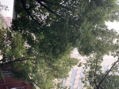 -飞马旅黎黄陂路文旅街区