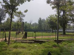 -秦皇岛野生动物园