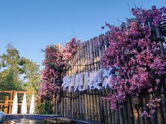 -天目湖御水温泉·度假酒店