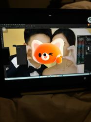 -绽放摄胶片摄影工作室