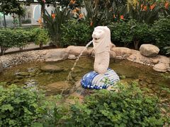 -南宫五洲植物乐园