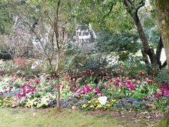 -西湖外事游船(花港观鱼码头)