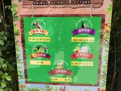 -广州长隆飞鸟乐园