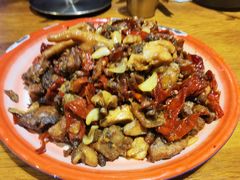 -柴窝堡22号辣子鸡·传承新疆菜