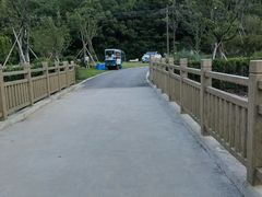 -北仑森林植物园