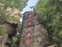 -汤旺河林海奇石景区