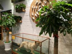 -宁海食府(大剧院店)
