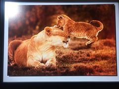 -罗红摄影艺术馆