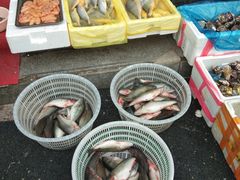 -四道口水产市场