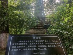 -文瀛公园