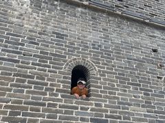 -老龙头景区
