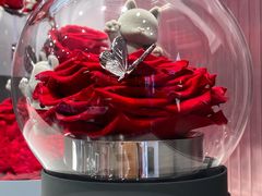 -ROSEONLY诺誓(广州K11店)