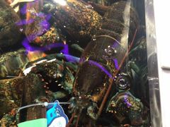 -盒马鲜生(莱蒙都会店)