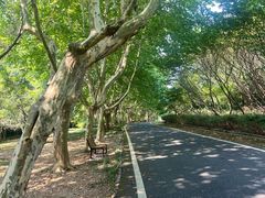-宜兴龙背山森林公园