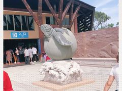 -广东惠东海龟国家级自然保护区