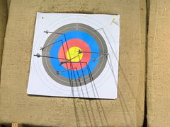 -蓝天射箭馆·专业射箭运动(诚丰广场店)