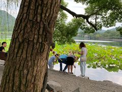 -苏堤停车场
