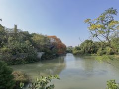 -八大山人梅湖景区