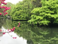 -乾园.魏庐湖景餐厅(花港店)
