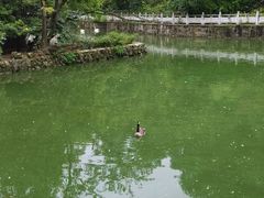 -黔灵山公园