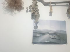 -素咫咖啡CLIFEROSE