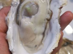 -千岛蚝高压锅生蚝·人参火锅(白云万达店)