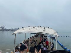 -海驴岛(荣成市)