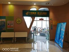 -中国宋庆龄青少年科技文化交流中心