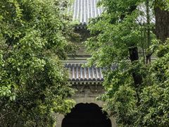 -灵谷景区