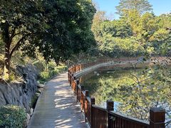 -大屏嶂森林公园