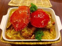 -茉莉.Red Crab