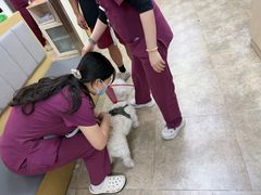 -美联众合动物医院·24h转诊中心