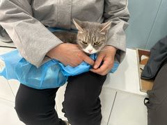 -纳吉亚猫专科动物诊疗中心(蒋宅口分院)